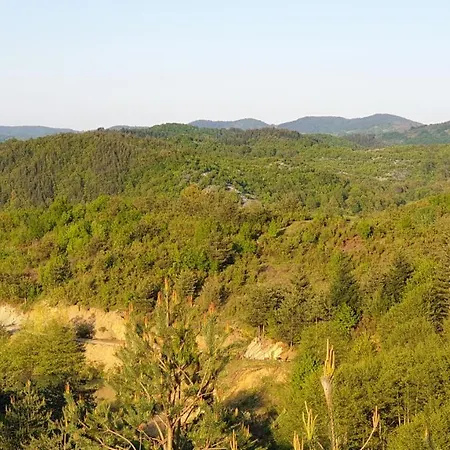 бялата къща Πανσιόν 3*