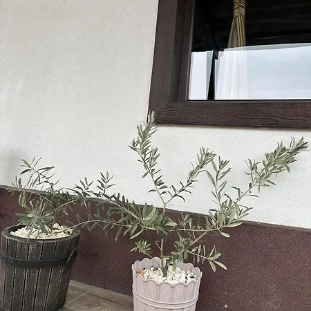 ゲストハウス бялата къща Chakalarovo
